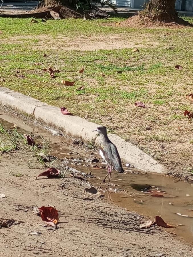 Pousada 5 Cachoeiras Ubatuba Εξωτερικό φωτογραφία
